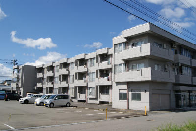 541画像